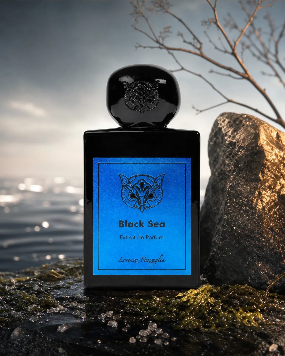 LORENZO PAZAGLIA BLACK SEA EXTRAIT DE PARFUM 50ml fragrance bottle in a scent-inspired setting