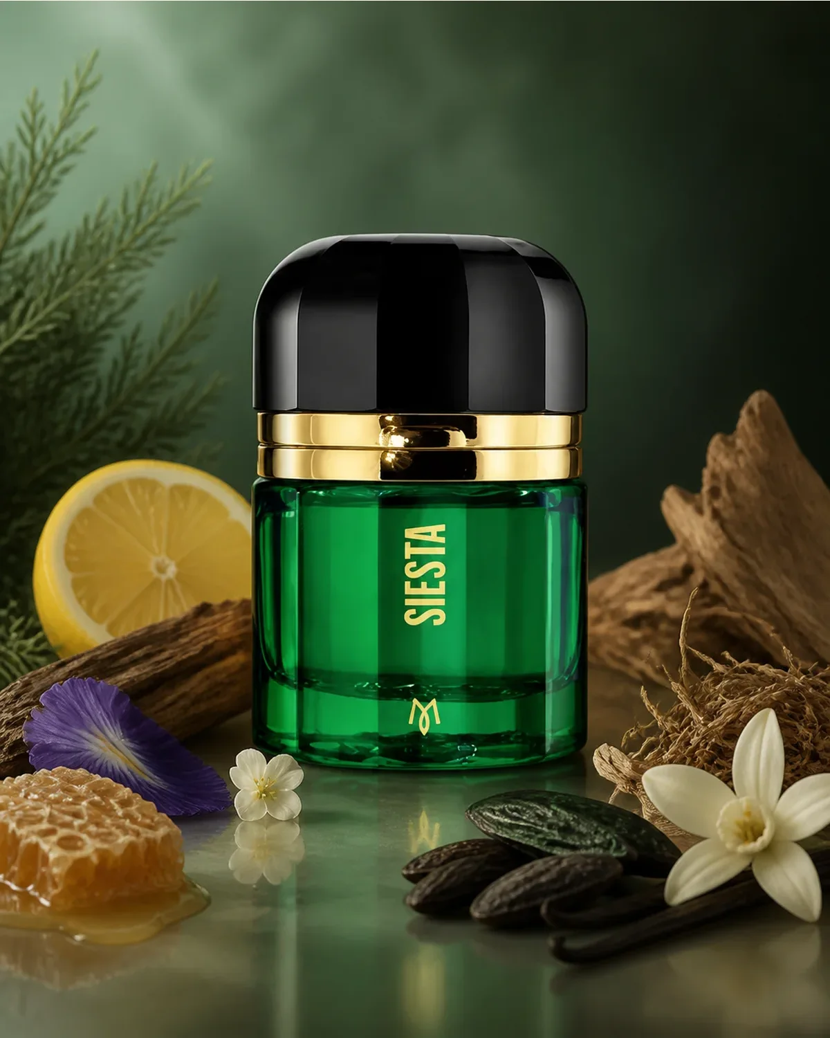 RAMON MONEGAL SIESTA EDP 50ml fragrance bottle in a scent-inspired setting